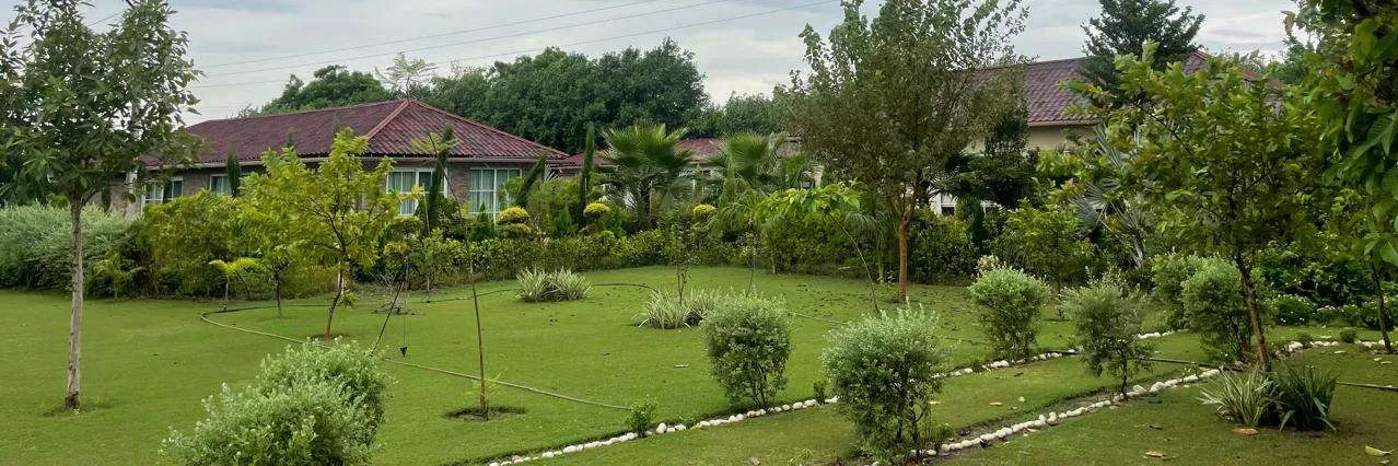 Gardens and farm buildings at The Basant Tree