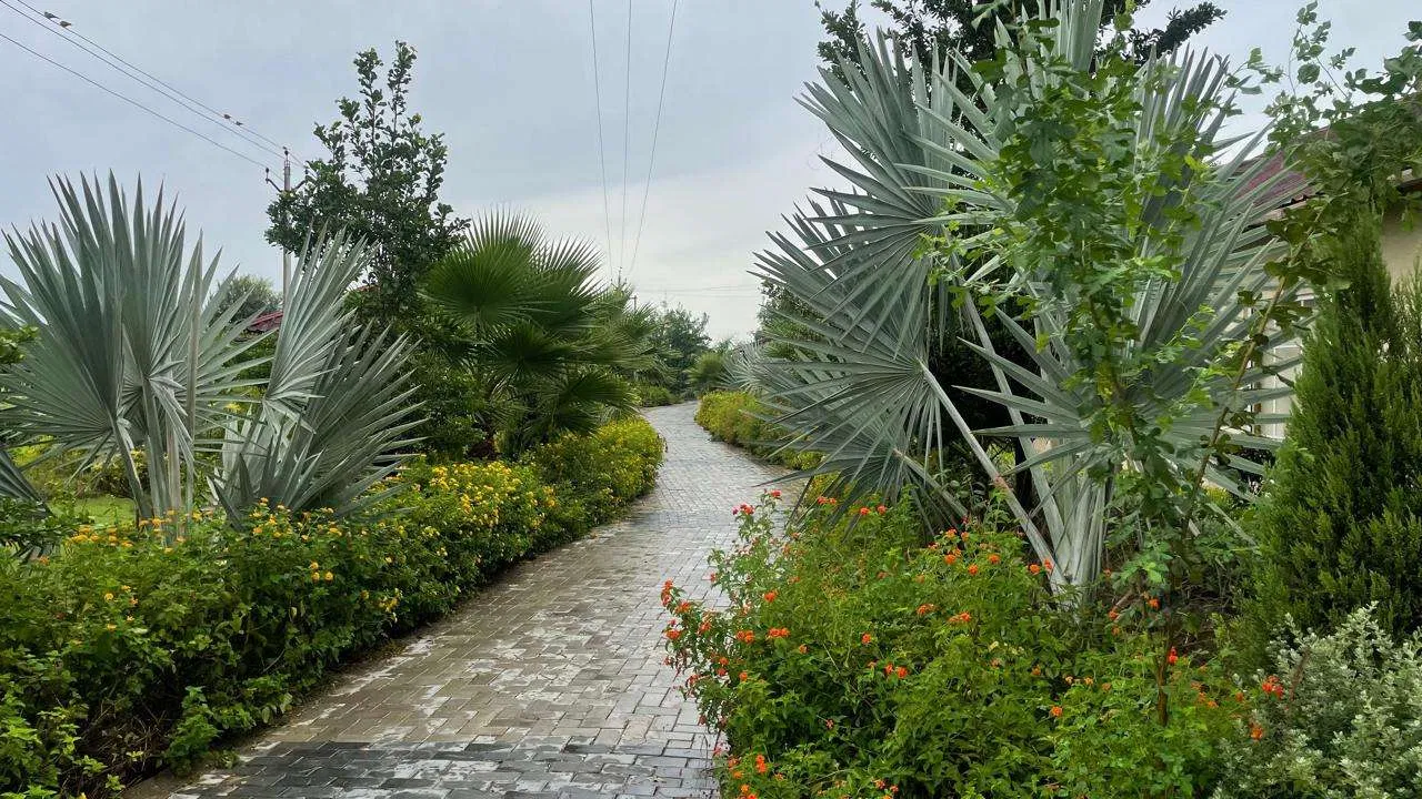A leafy pathway through The Basant Tree gardens