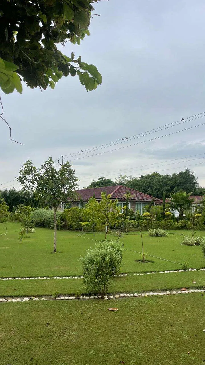 The farm lawn under a cloudy sky