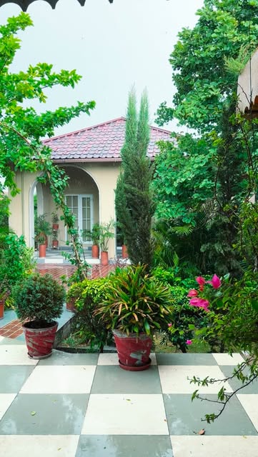The green courtyard at The Basant Tree